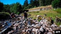 Men take part in an electric fishing to rescue fish in the river 'La Savoureuse', threatened by drought in Lepuix, eastern France, on August 5, 2020. 