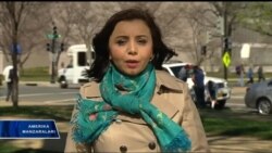 Kuba sigaralari Amerika bozorida