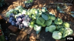 Produtos agrícolas, Tete, Moçambique