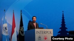 国际刑警组织主席、中国公安部副部长孟宏伟 （国际刑警组织官网图片）