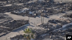 Կալիֆորնիա