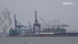 Як митниця США протидіє продажу викрадених автівок.Відео