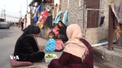 Rewşa Dawî ya Kampa Domîz Çi Ye?