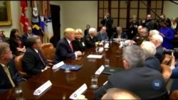 Справа стосовно імміграційного указу Трампа: чи може судова гілка влади піти проти волі президента? Відео