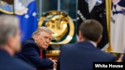 دونالد ترامپ - آرشیو