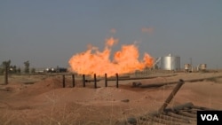 پاڵاوگەی نەوت