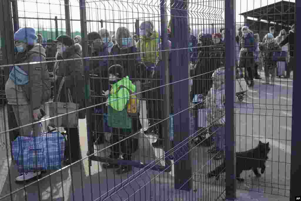 Donetskdan Ukraina nazoratidagi hududlarga ko'chayotgan aholi. 22-fevral, 2022.