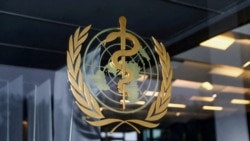 Quiz - Does the WHO Need a New Treaty for Pandemics?