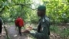 Kolo Ouattara, agent de l'OIPR responsable du Mont Peko, patrouille dans le parc national du Mont Peko dans le département de Duekoue, dans l'ouest de la Côte d'Ivoire le 18 août 2015. 