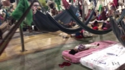 Waraos encuentran refugio en Boa Vista