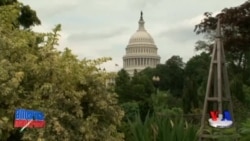 Sonora dashtligiga sayohat - Desert museum