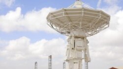 Quiz - Company Plans to Launch First Satellite Made of Wood