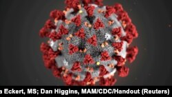 FILE - An illustration of the coronavirus (COVD-19) released by the Centers for Disease Control and Prevention (CDC) in Atlanta, Georgia, U.S. January 29, 2020.