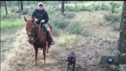 Редагування генів дає шанс на одужання пацієнтам із досі невиліковними хворобами. Відео