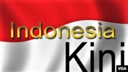 Kehilangan Habitat, Buaya Muara di Sungai Palu Makin Agresif