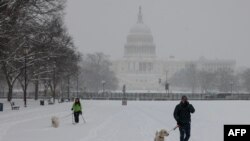 Orang-orang berjalan-jalan dengan anjingnya di sepanjang National Mall saat salju turun selama badai musim dingin di Washington, D.C., 6 Januari 2025.