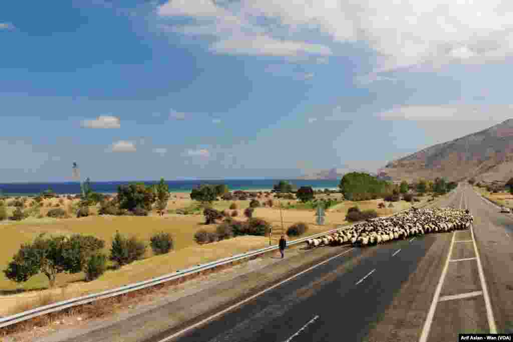 Koçer ji Zozanên Wanê Bar Dikin