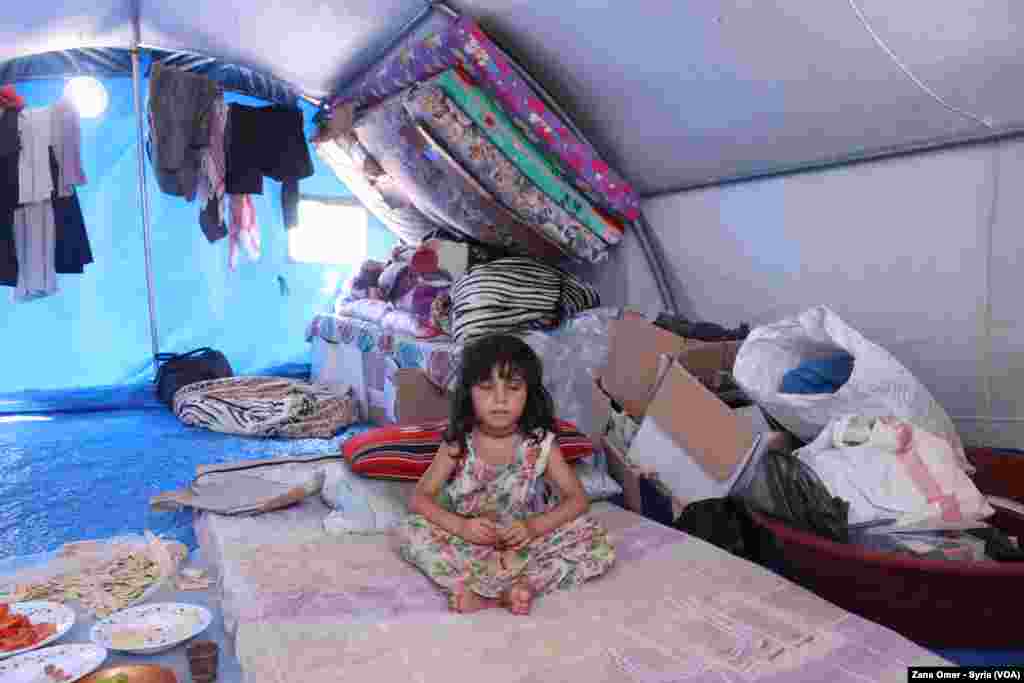 Kampa Waşokanî li Bakur û Rojhilatê Sûriyê