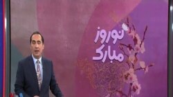 کالسکه بهار – گپ‌وگفت نوروزی با یلدا علایی و مجتبی ملکی زوجِ تولید‌کننده‌ محتوای آموزشی