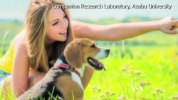 แค่สบตาก็หลงรัก... วิทยาศาสตร์เบื้องหลังความผูกพันมนุษย์กับสุนัข