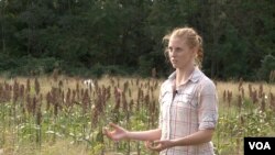 Merilend universiteti tadqiqotchisi Keyt Talli dalalar ekologiyasini o'rganadi.