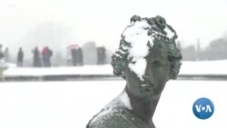 Les jardins du Château de Versailles sous la neige