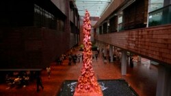 美國學者簽證被拒失港大教職 香港學術自由被批習近平化