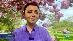 Amerika Manzaralari: Ukraina, urush vakolatlari, uyg'ur restorani