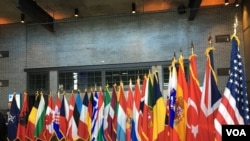 2019年4月3日北约互动论坛上的北约成员国国旗（美国之音黎堡）