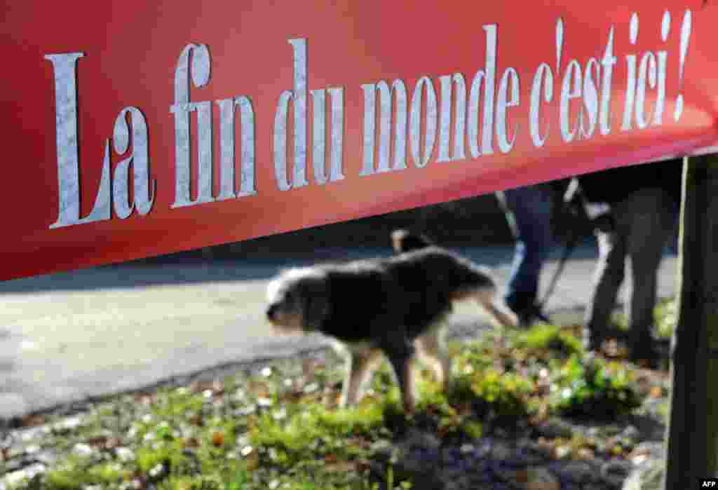 A dog is pictured under an information board for a restaurant reading "The end of the world, is here" on December 20, 2012 in the southwestern French village of Bugarach.