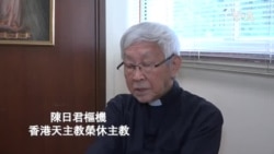陳日君對中梵關係與中港天主教前景感到擔憂