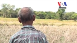 គម្រោង​អភិវឌ្ឍ​របស់​ក្រុមហ៊ុនចិន​នៅតំបន់​ឆ្នេរ​សមុទ្រ​កម្ពុជា ប៉ះពាល់​ប្រជាជន​រាប់​ពាន់​នាក់​