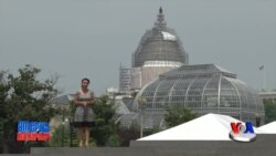 Sobiq elchilar: "Islomiy davlat" ga qarshi jiddiyroq chora ko'raylik