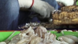 อุตสาหกรรมอาหารทะเลไทยปฏิเสธคำกล่าวหาของกลุ่มพิทักษ์สิทธิมนุษยชนและสื่อตะวันตกเรื่องแรงงานทาส