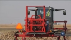 Американські вчені розробляють робота-садівника, який може сам доглядати за рослинами. Відео