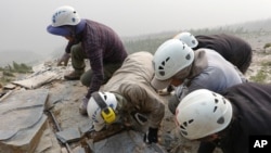Members of the Royal Ontario Museum fieldwork crew extract a shale slab containing a fossil of Titanokorys gainesi during the 2018 fieldwork season, at the Kootenay National Park, British Columbia, Canada, 2018. (Royal Ontario Museum/Handout via REUTERS)