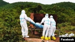 រូប​ឯកសារ៖ ភ្នាក់ងារសុខាភិបាលចាត់ចែងបូជាសាកសពអ្នកជំងឺកូវីដ១៩ម្នាក់នៅស្រុកកំពង់ត្រាច ខេត្តកំពត កាល​ពី​ខែមិថុនា ឆ្នាំ២០២១។ (រូបថត៖ ហ្វេសប៊ុក​ស្នងការដ្ឋាននគរបាលខេត្តកំពត) 