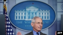 El doctor Anthony Fauci es el director del Instituto Nacional de Alergias y Enfermedades Infecciosas de EE.UU.