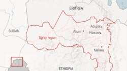 ኣሜሪካ ‘ሰራዊት ኤርትራ ካብ ትግራይ ብህጹጽ ክወጽእ ኣለዎ’ ኢላ