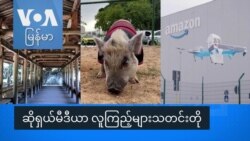 ဆိုရှယ်မီဒီယာ လူကြည့်များသတင်းတို
