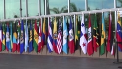 OEA aprueba resolución para reunificar a familias migrantes