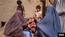 د پولیو پنځمه مثبته پیښه د کندهار ولایت په شاه ولي‌کوټ ولسوالۍ کې ثبت شوې ده.