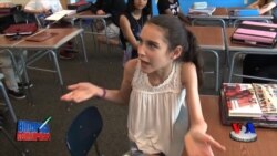 Irqchilik va irq - Amerika maktablarida