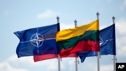 Литва з початку повномасштабного вторгнення надала Україні підтримку обсягом 766 мільйонів доларів