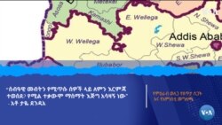 የምዕራብ ወለጋ የፀጥታ ስጋት እና የአምነስቲ መግለጫ