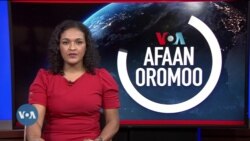 Tamsaasa Guyaadhaa Guyyaa