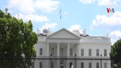 Casa Blanca anuncia desarrollo de píldoras antivirales 