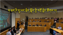 བོད་བརྒྱུད་ནང་བསྟན་གྱི་ཡང་སྲིད་ལམ་ལུགས་དང་ཏཱ་ལའི་བླ་མའི་སྒྲིག་འཛུགས། 
