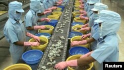 Công nhân làm việc tại một nhà máy chuyên xuất khẩu tôm từ Việt Nam sang Hoa Kỳ. 