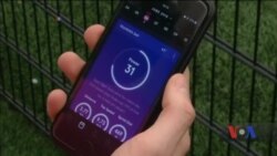 Як сучасні технології оптимізують підготовку футболістів. Відео